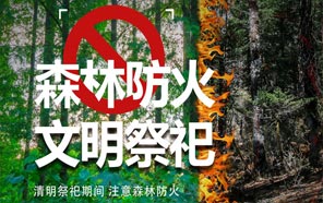 清明節：文明祭奠、預防火災