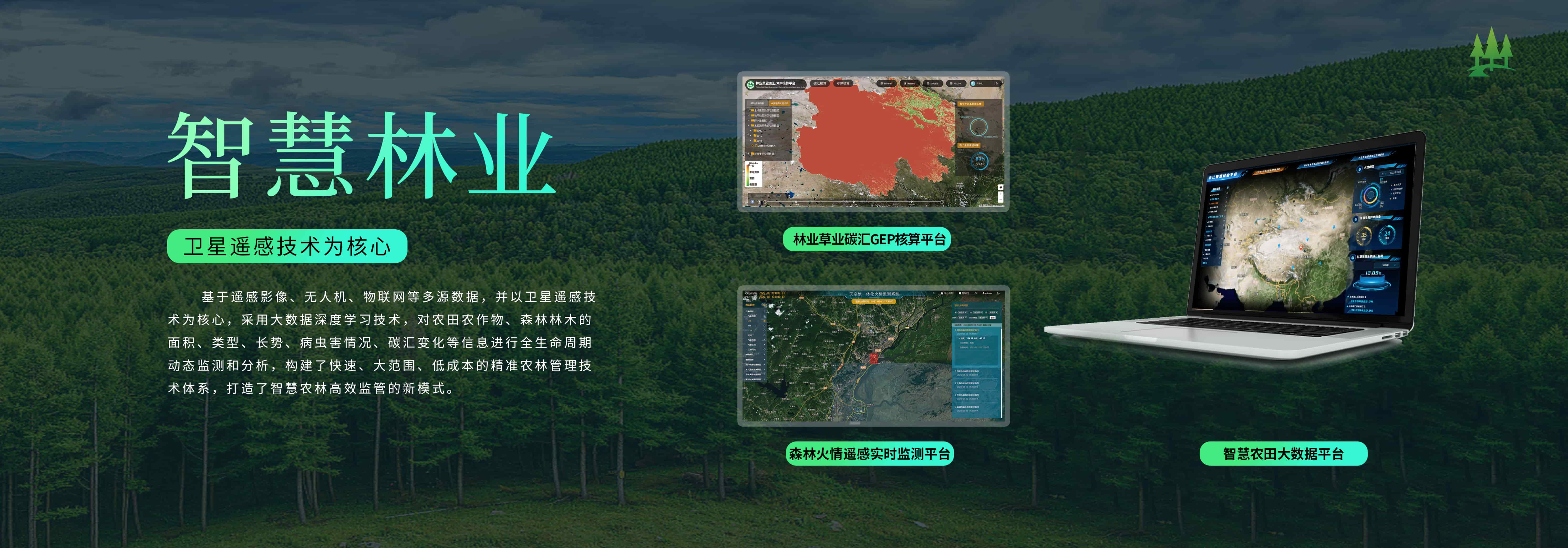 智慧林業(yè)