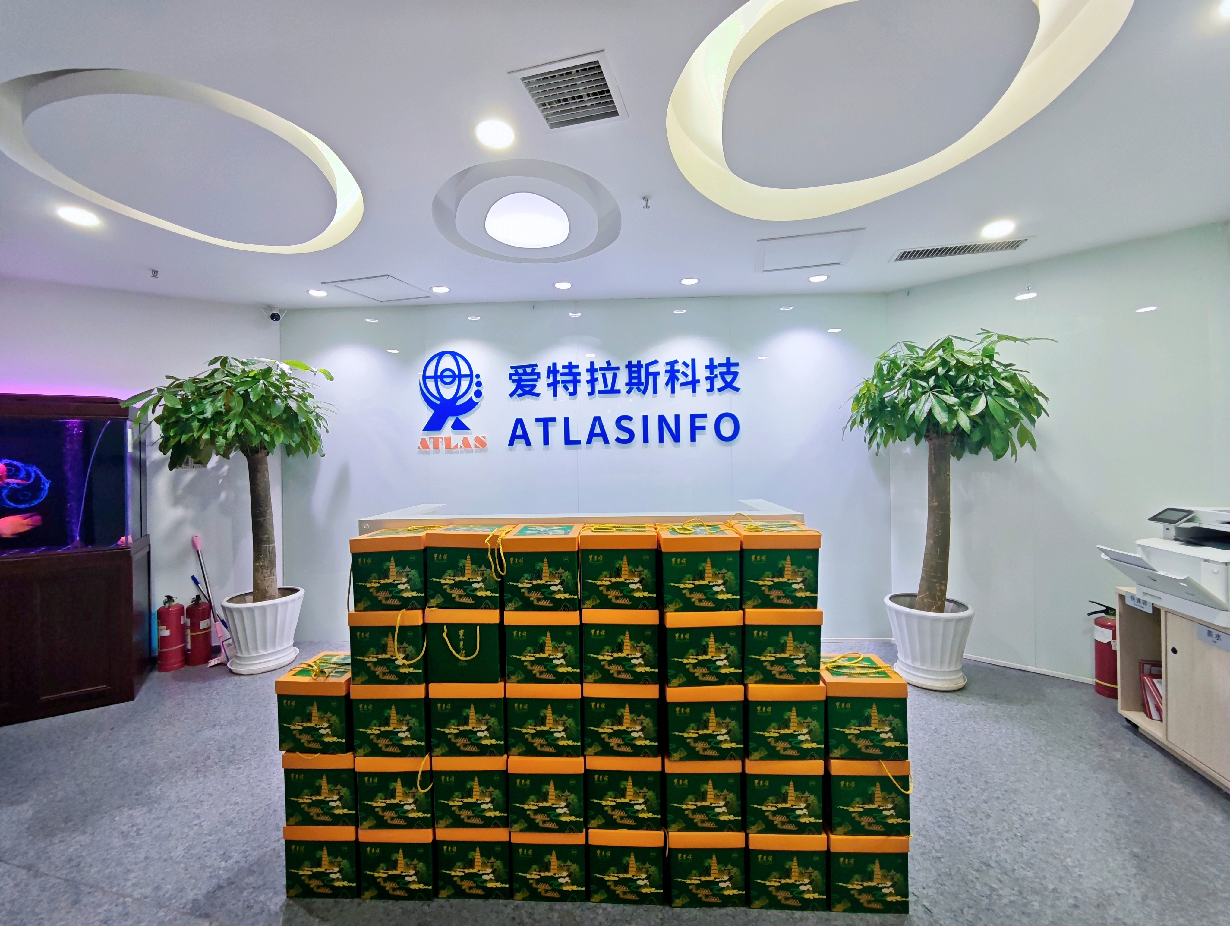 端午團圓時(shí)，思念是粽葉包裹的情